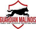 Guardian Malinois