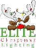 Elite Christmas Lighting