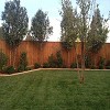 Abilene Custom Fencing