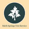 Balch Springs Tree Service